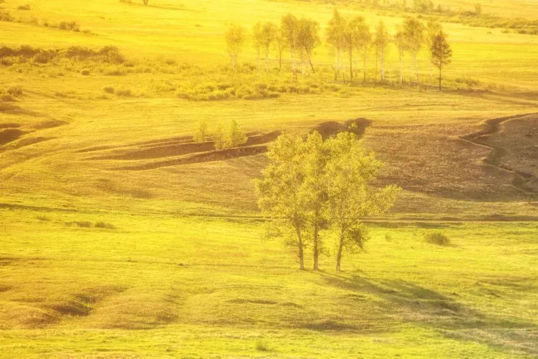 追星旅游记,追星大环线日记