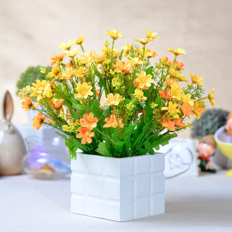 装修后如何除甲醛用什么植物,新房装修后去甲醛的植物有哪些