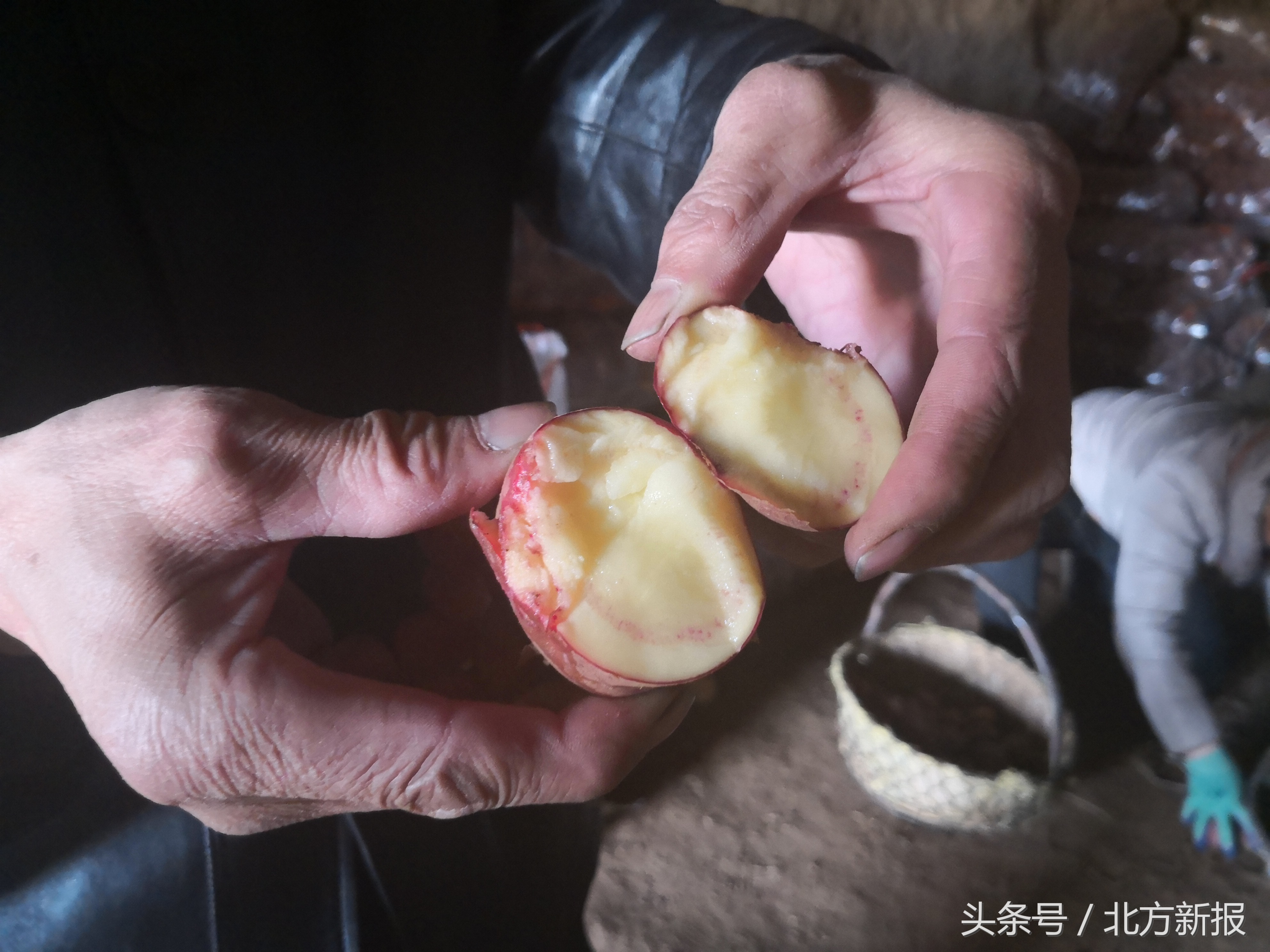 内蒙古武川县土豆滞销,呼和浩特武川县土豆基地