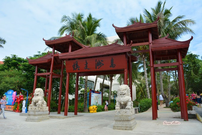 相约海之南歌曲,浪漫走天涯相约海之南