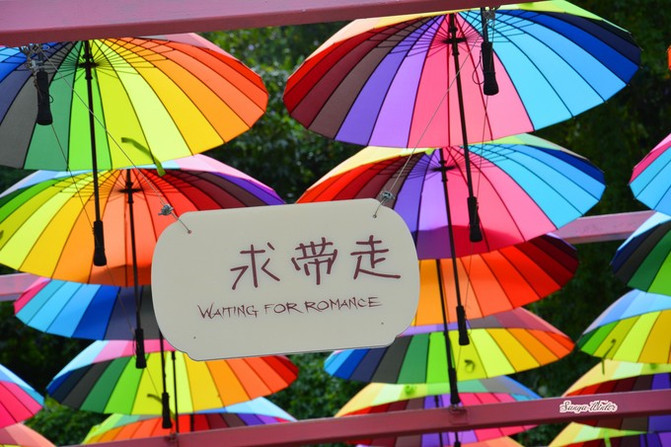 相约海之南歌曲,浪漫走天涯相约海之南