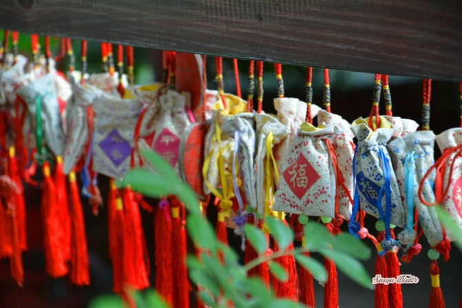 相约海之南歌曲,浪漫走天涯相约海之南