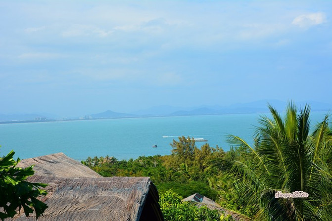 相约海之南歌曲,浪漫走天涯相约海之南