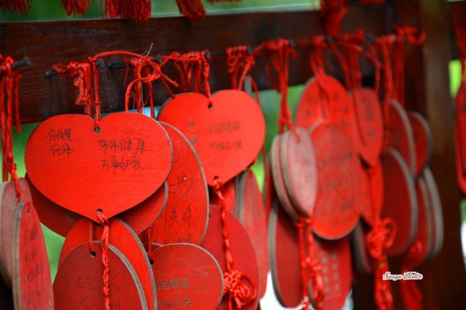 相约海之南歌曲,浪漫走天涯相约海之南