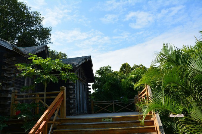 相约海之南歌曲,浪漫走天涯相约海之南