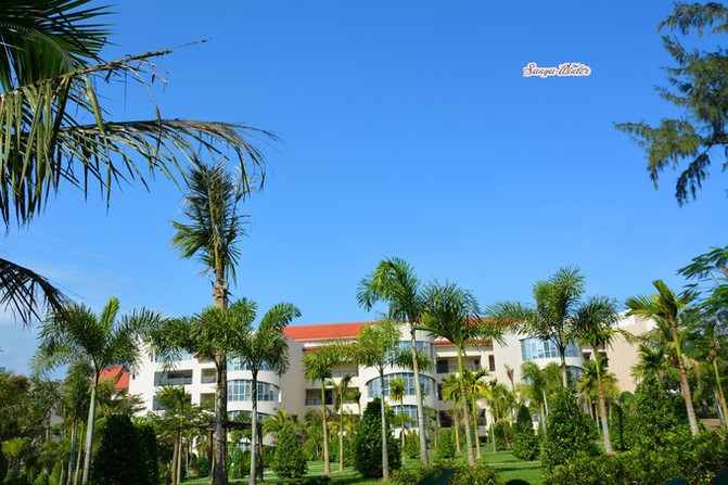 相约海之南歌曲,浪漫走天涯相约海之南