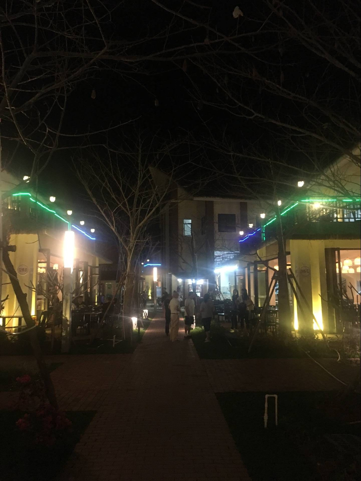 相约海之南歌曲,浪漫走天涯相约海之南