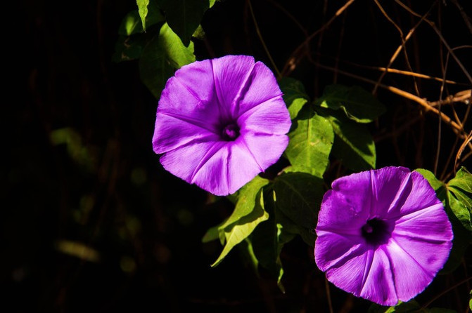 相约海之南歌曲,浪漫走天涯相约海之南