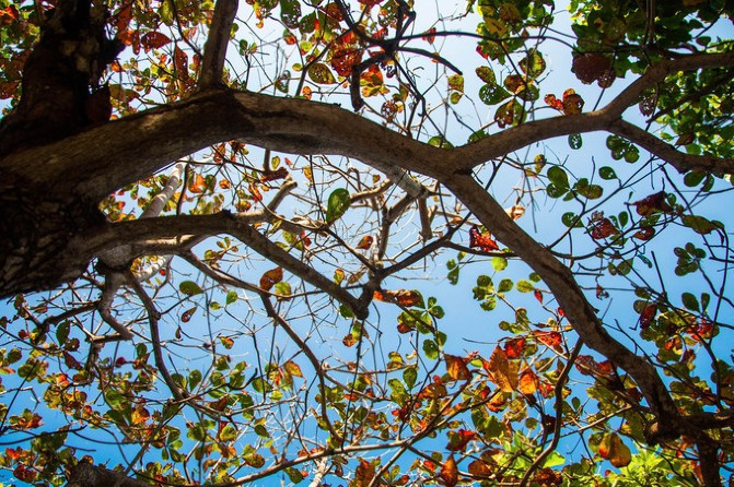 相约海之南歌曲,浪漫走天涯相约海之南