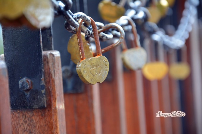 相约海之南歌曲,浪漫走天涯相约海之南