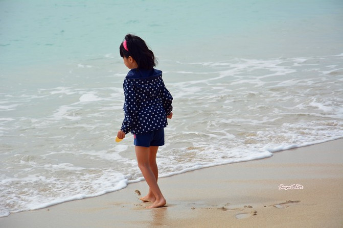 相约海之南歌曲,浪漫走天涯相约海之南