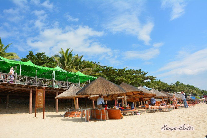 相约海之南歌曲,浪漫走天涯相约海之南