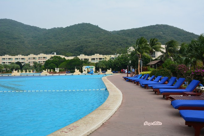 相约海之南歌曲,浪漫走天涯相约海之南