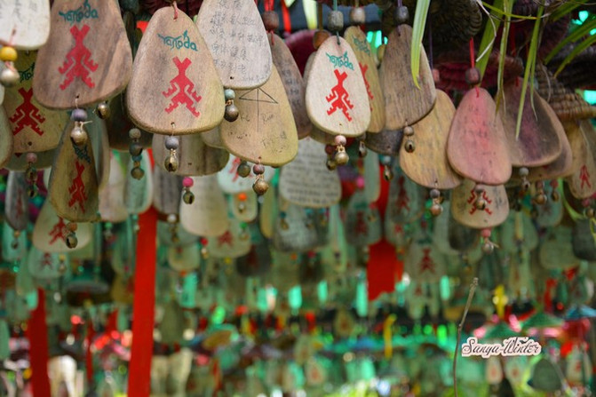 相约海之南歌曲,浪漫走天涯相约海之南