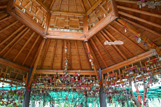 相约海之南歌曲,浪漫走天涯相约海之南