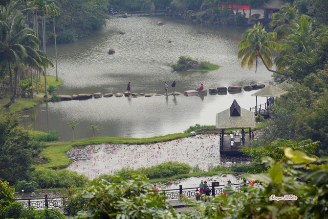 相约海之南歌曲,浪漫走天涯相约海之南