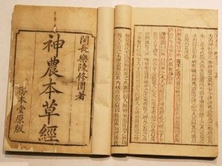 神话尝百草,神农尝百草的神话人物