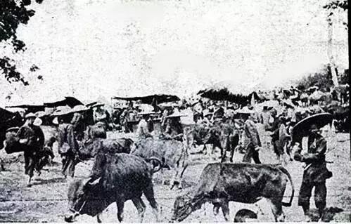 无锡南长街是啥,无锡南长街原来是什么地方