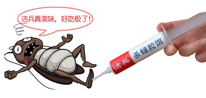 蚂蚁蟑螂怎么消灭,车内蟑螂怎么消灭
