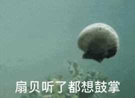 十大最好用粉底排行平价,十大平价好用的粉底