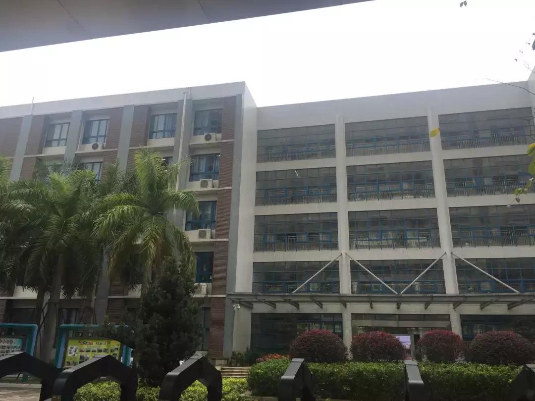 深圳小升初入深圳中学,深圳龙岗初级中学如何