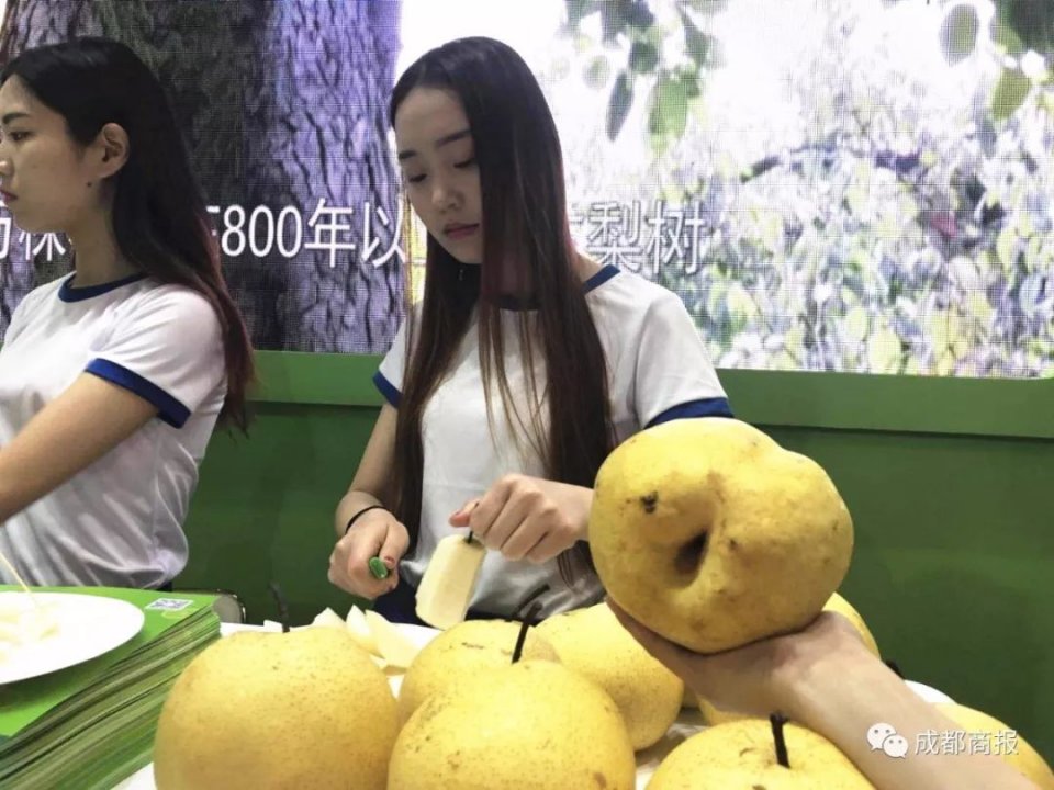 糖酒会2022年最大展会,中国最大的糖酒展览会在哪里