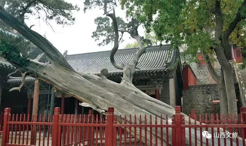 山西太原旅游攻略晋祠,太原文旅晋祠