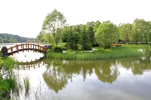 春暖花开微风吹来,春暖花开吹来阵阵花香