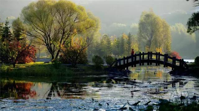 春暖花开微风吹来,春暖花开吹来阵阵花香