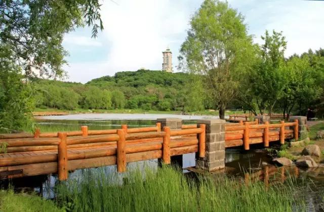 春暖花开微风吹来,春暖花开吹来阵阵花香