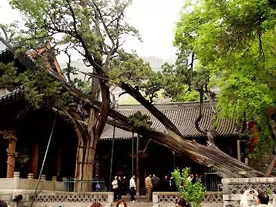 山西太原旅游攻略晋祠,太原文旅晋祠