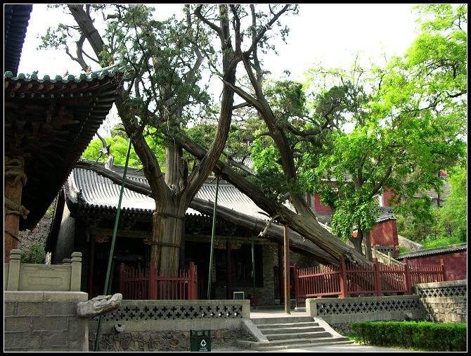 山西太原旅游攻略晋祠,太原文旅晋祠