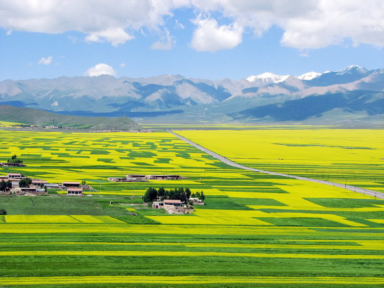 青苹果原创歌曲,青苹果原创