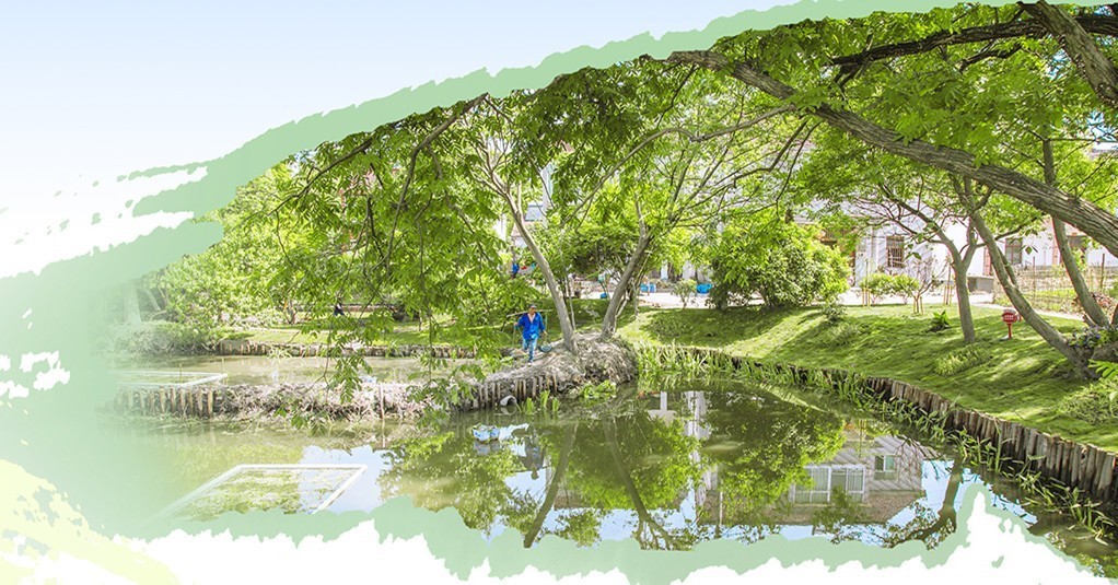 青苹果原创歌曲,青苹果原创