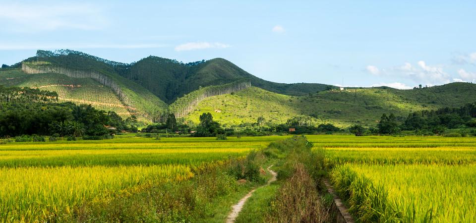 青苹果原创歌曲,青苹果原创