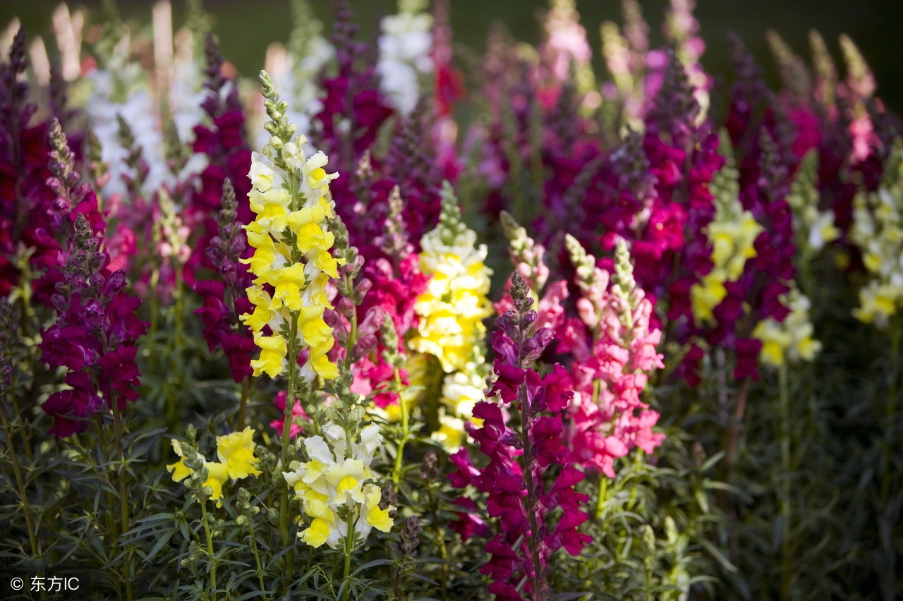 2018创业好项目小生意,小本买卖创业点子怎么写