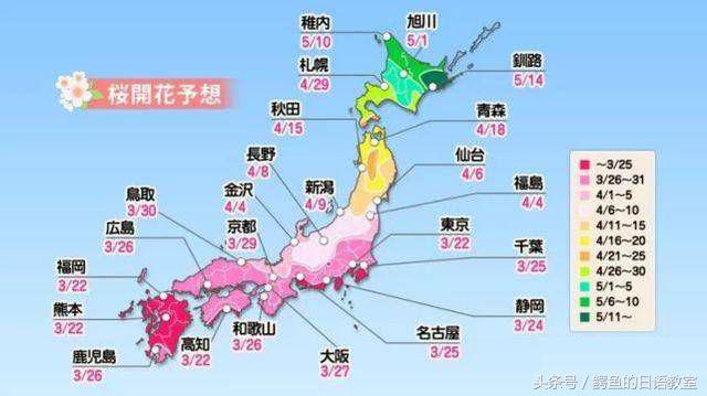 2018樱花,日本樱花节一览表