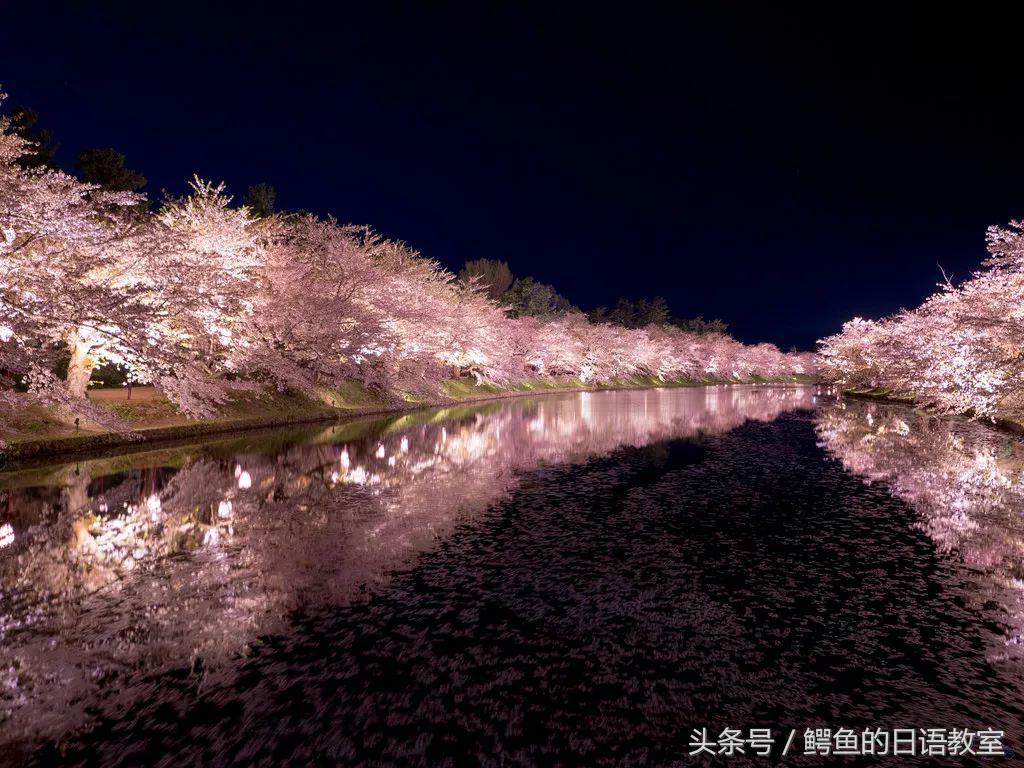 2018樱花,日本樱花节一览表