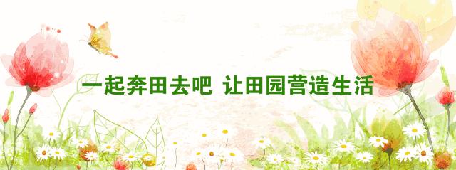 破产米店到赚一个亿利润的神话—八代目儀