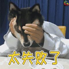 自考失败的原因,全在这里了!(仔细查看,警示自己)