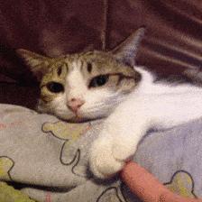 自考失败的原因,全在这里了!(仔细查看,警示自己)