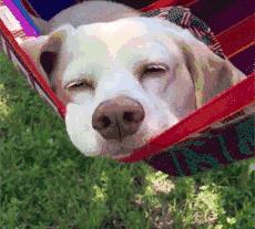 自考失败的原因,全在这里了!(仔细查看,警示自己)