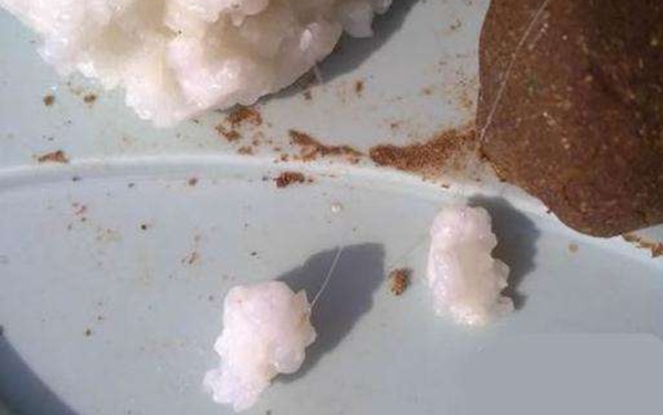 鲤鱼不吃饵的解决方法,野钓鲤鱼为什么不吃商品饵