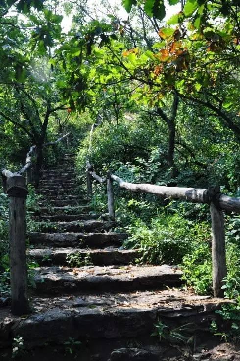 大连适合踏青烧烤的好地方,大连开发区踏青好去处