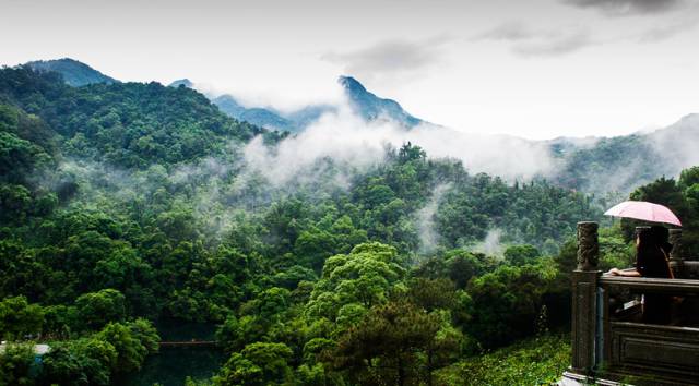 鼎湖山旅游祈福,肇庆鼎湖山徒步攻略