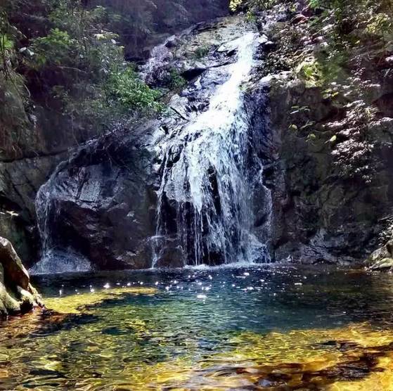 鼎湖山旅游祈福,肇庆鼎湖山徒步攻略