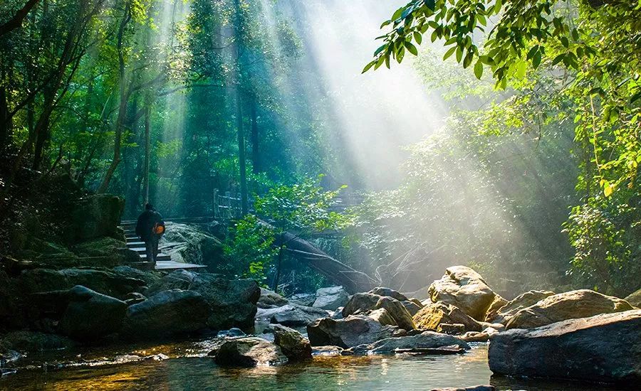 鼎湖山旅游祈福,肇庆鼎湖山徒步攻略