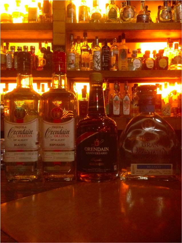 体验日本夜晚的酒吧,日本东京夜晚探索视频