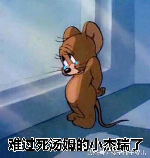 装修房子时没留窗户怎么办,厕所窗户关不住了怎么办小妙招