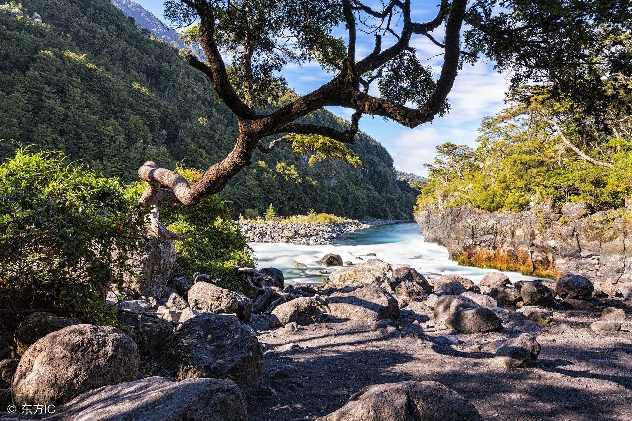 语文常识宝典分享，三山五岳、三从四德、四大皆空、五谷、五荤……